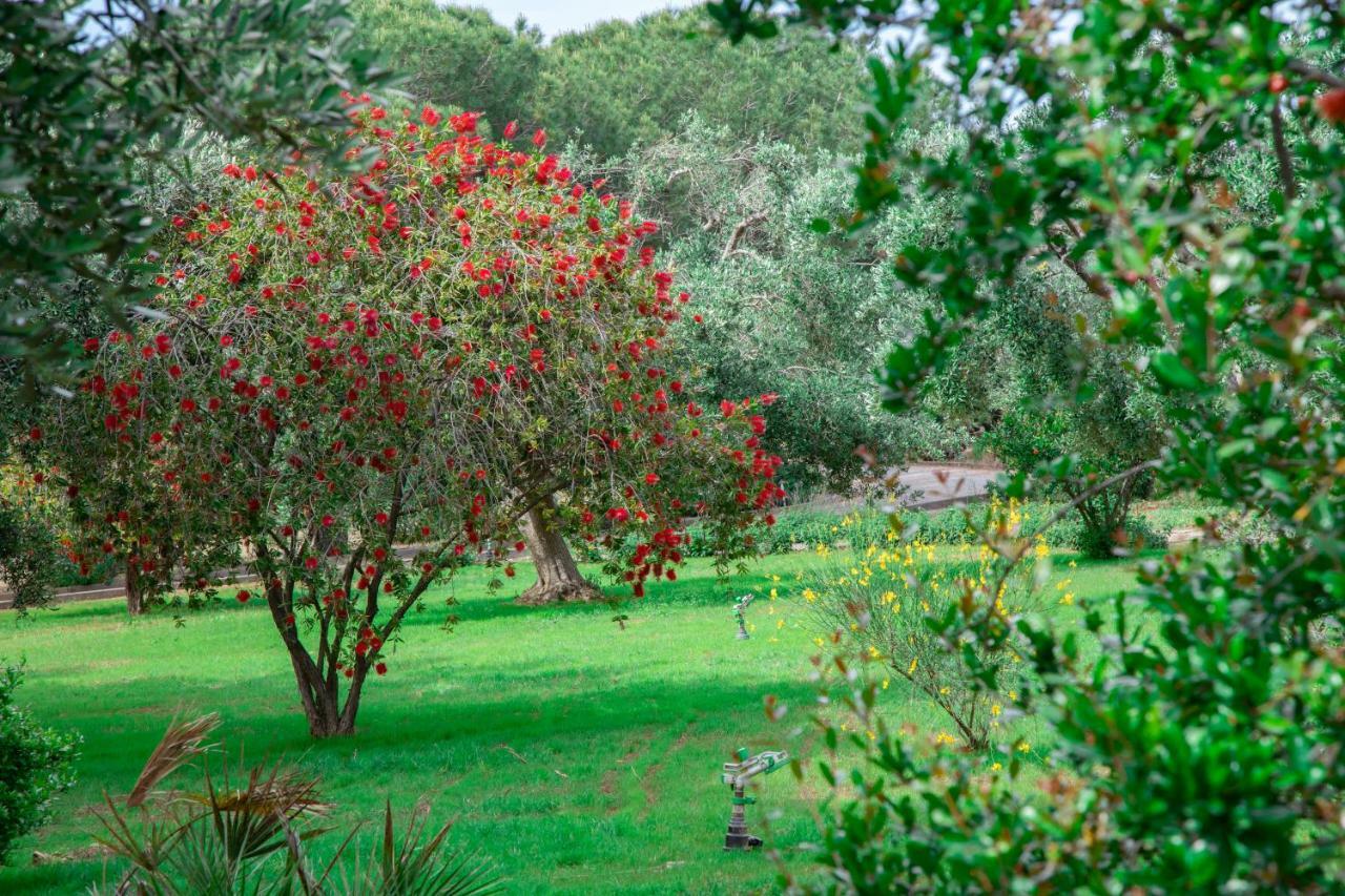 Relais D 'Itria Bed & Breakfast Grottaglie Exterior foto